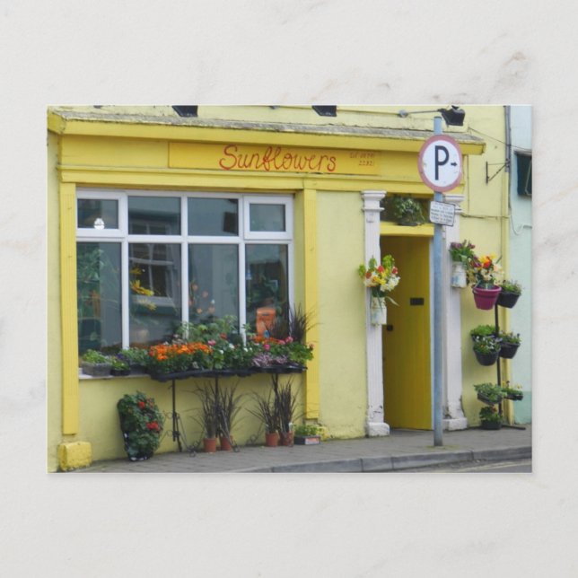 Blume in Birr - Irland Postkarte (Vorderseite)