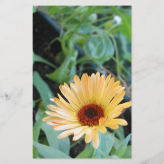 Blume in Blätter zwei Briefpapier