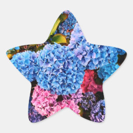 Blume in Blau und Rosa Stern-Aufkleber