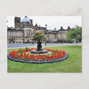 Blume in Blossom vor türkischen Bädern in Ha Postkarte