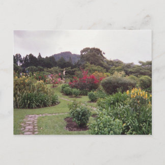 Blume in Boquete Postkarte