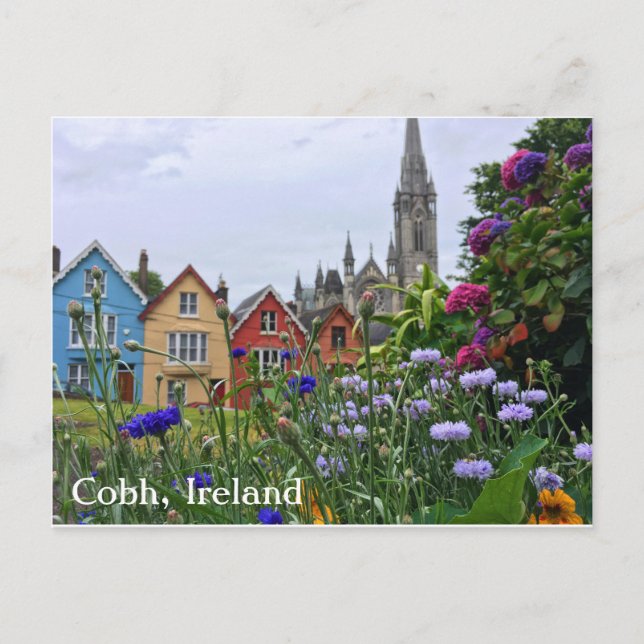 Blume in Cobh, Irland Postcard Postkarte (Vorderseite)