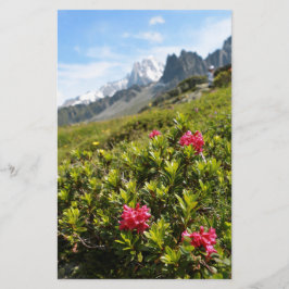 Blume in den Alpen - Schön!