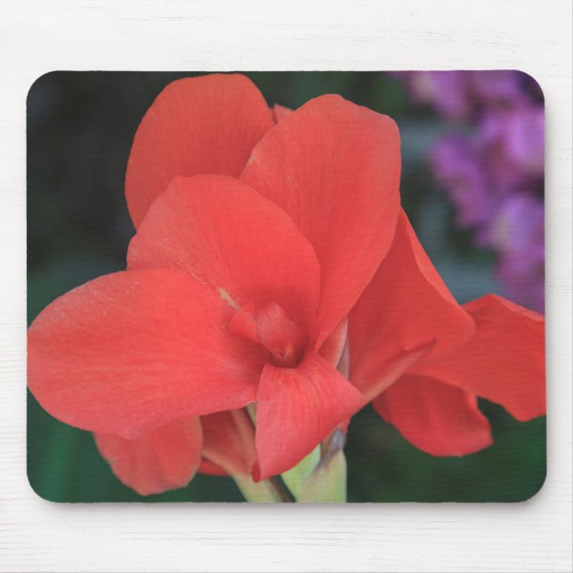 Blume in den Gärten der D. Carlos I Mousepad (Vorne)