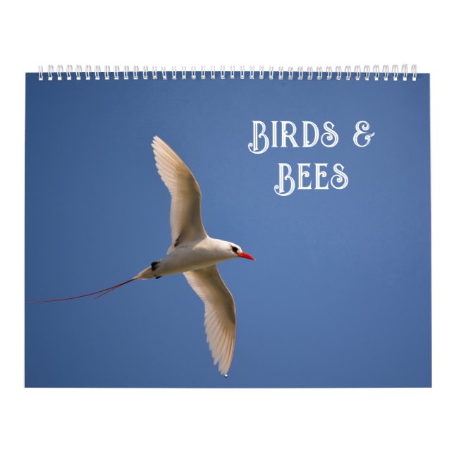 Blume in der Natur Kalender (Titelbild)