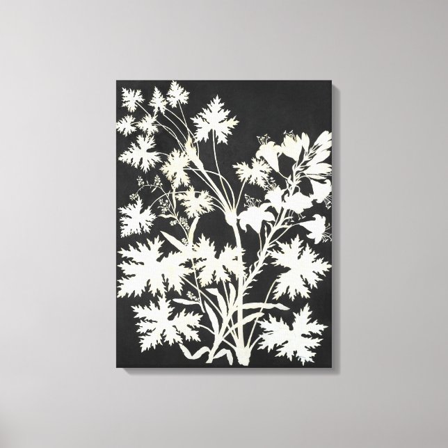 Blume in der Silhouette Leinwanddruck (Vorderseite)