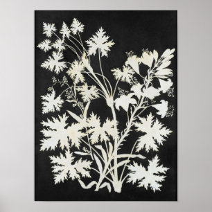 Blume in der Silhouette Poster