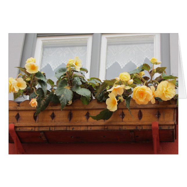 Blume in einem Fenster (Vorderseite (Horizontal))