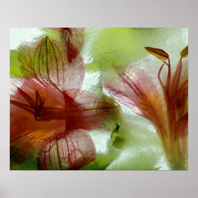 Blume in Eis Poster (Vorne)