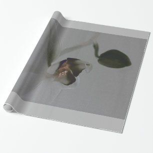 Blume in Grau Geschenkpapier