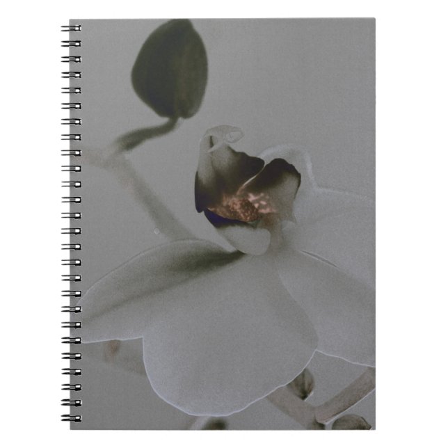Blume in Grau Notizblock (Vorderseite)