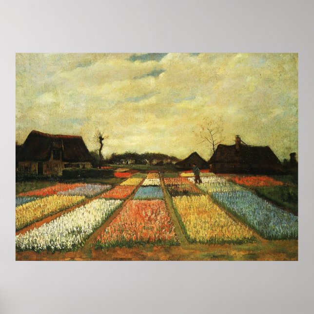 Blume in Holland Poster (Vorne)