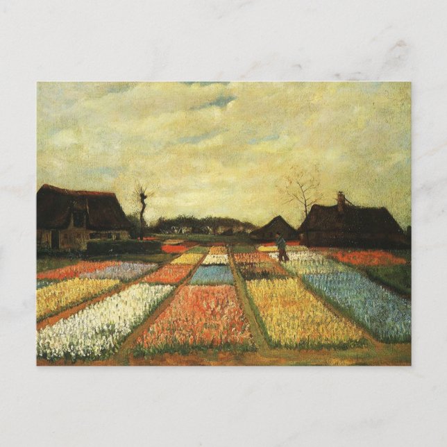Blume in Holland Postkarte (Vorderseite)