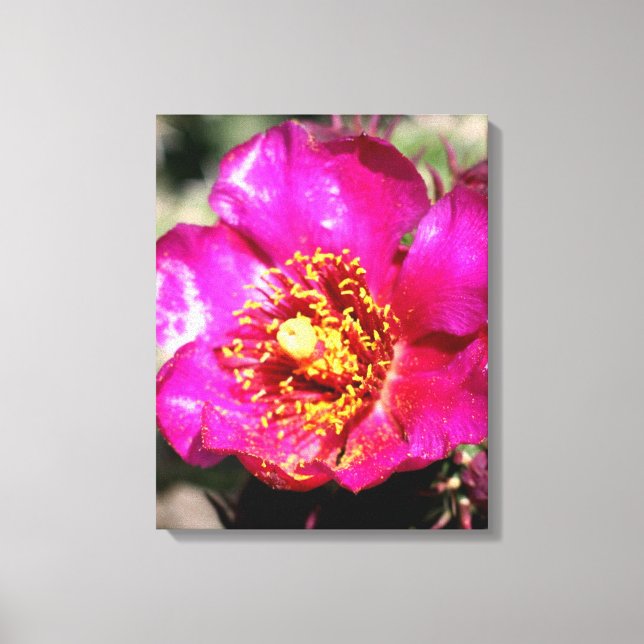 Blume in Leinwand umwickelt (Vorderseite)
