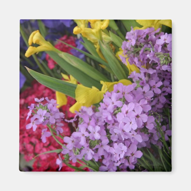 Blume in mehreren Farben Magnet (Vorne)