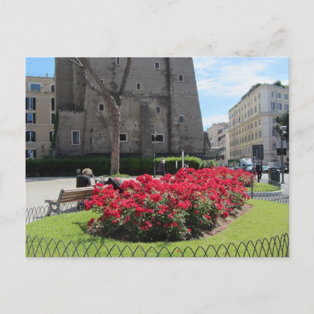Blume in Rom, Italien Postkarte (Vorderseite)