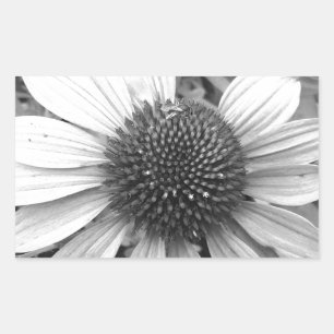 Blume in Schwarzweiß Rechteckiger Aufkleber
