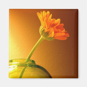 Blume in Vase Magnet