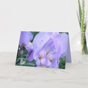 Blume - Iris Karte