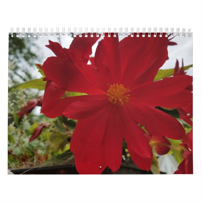 Blume ist der Kalender 2026 (Titelbild)