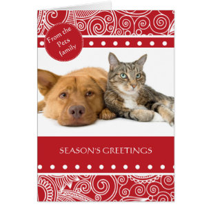 Blume Jungle Saison Grüße