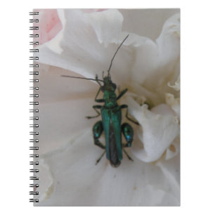 Blume-Käfer-Notebook Notizblock