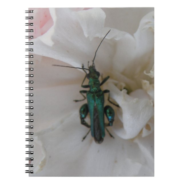Blume-Käfer-Notebook Notizblock (Vorderseite)