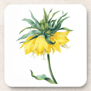 Blume: Kaiserkrone A002 - Getränkeuntersetzer