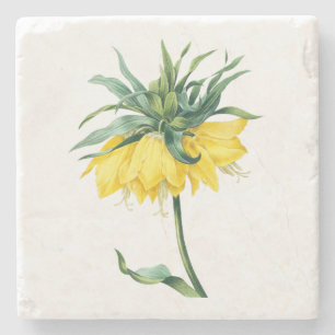Blume: Kaiserkrone A002 - Steinuntersetzer