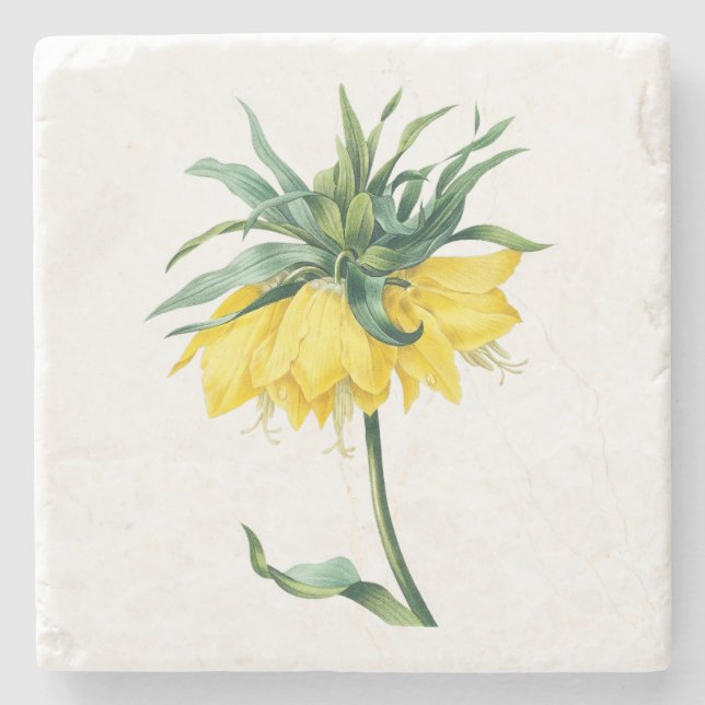 Blume: Kaiserkrone A002 - Steinuntersetzer (Vorderseite)