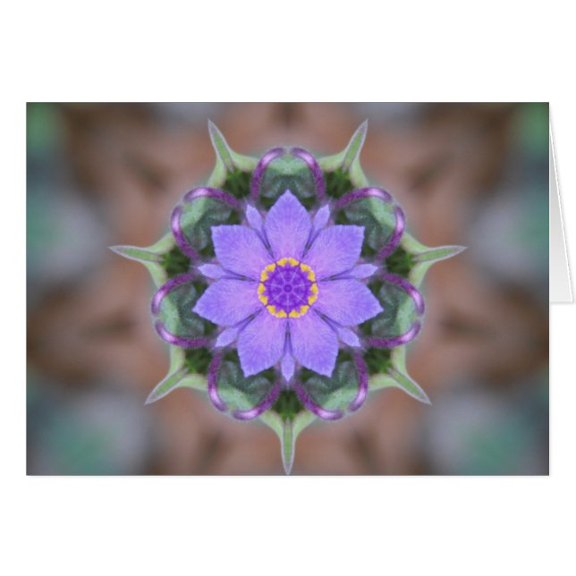 Blume Kaleidoskop (Vorderseite (Horizontal))