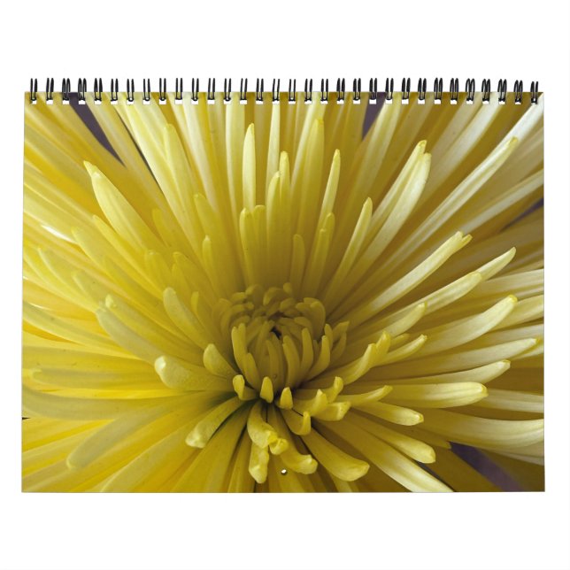 Blume Kalender (Titelbild)