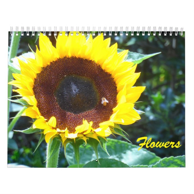 Blume Kalender (Titelbild)