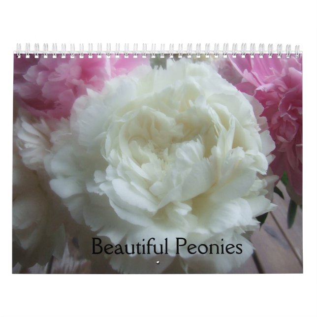 Blume Kalender (Titelbild)
