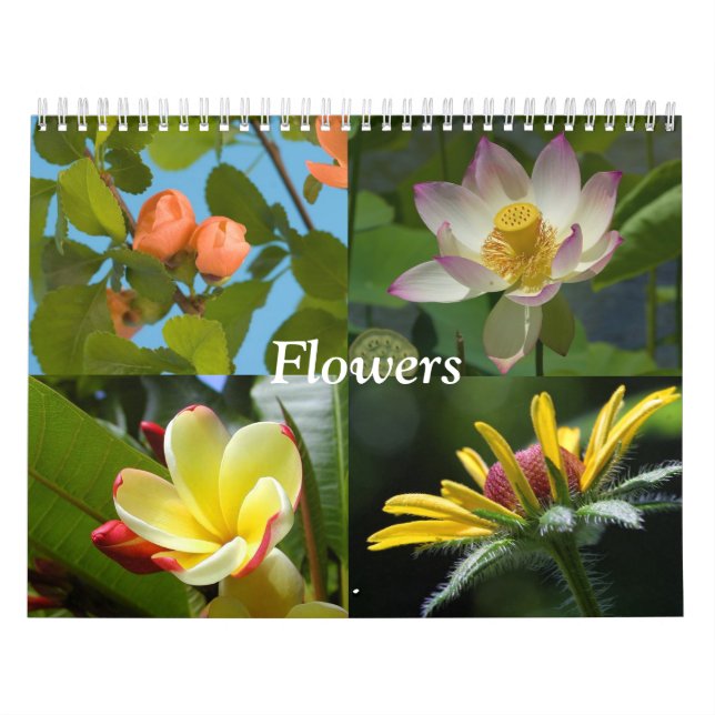 Blume Kalender (Titelbild)