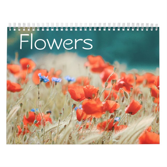 Blume Kalender (Titelbild)