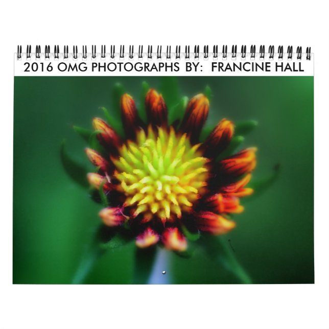 Blume-Kalender 2016 Kalender (Titelbild)