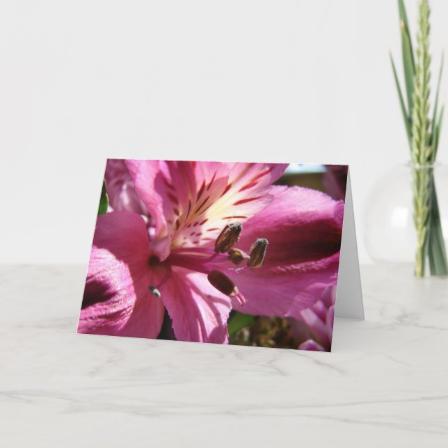 Blume Karte (Vorderseite)