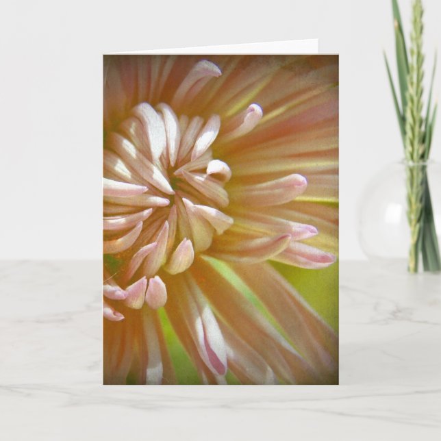 Blume Karte (Vorderseite)