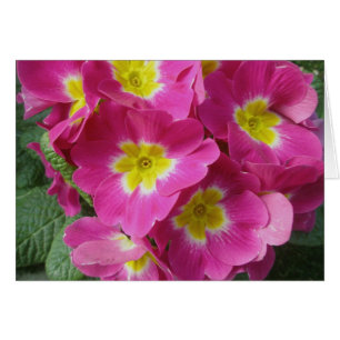 Blume-Karte (Hot Pink)