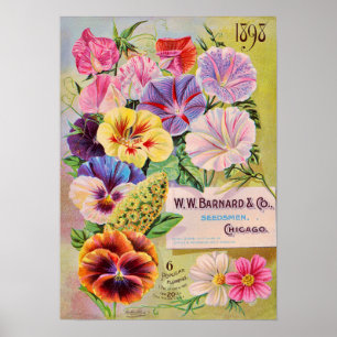 Blume-Katalog Vintage Werbung Poster
