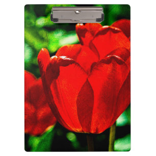 Blume Klemmbrett