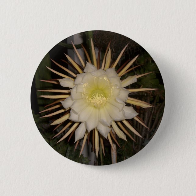 Blume "Königin der Nacht" Button (Vorderseite)