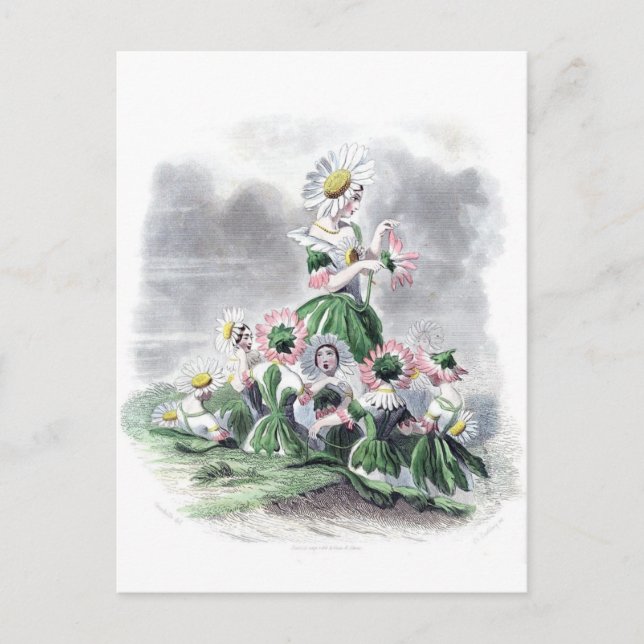 Blume Ladys Daisy Animated Blume Grandville Postkarte (Vorderseite)