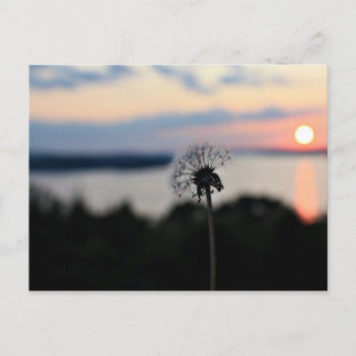 BLUME LAKE OZARK POSTKARTE