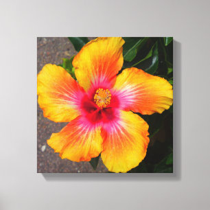 Blume Leinwand