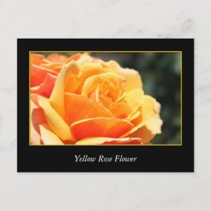 Blume, Liebe und Romantik Postkarte
