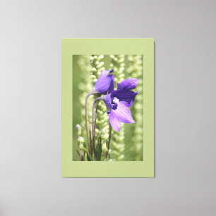 Blume lila Garden Leinwanddruck
