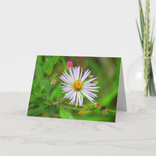 Blume "lila Sumpf" (5064) Karte