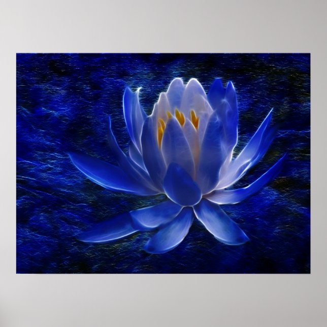 Blume Lotus und ihre Bedeutung Poster (Vorne)
